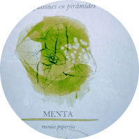 Te menta