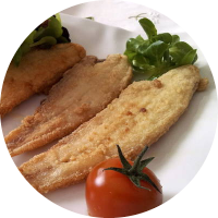 Tapa Acedias