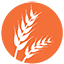 Gluten